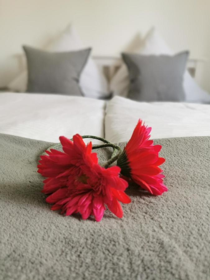 Hotel Schenk Pirmasens Esterno foto